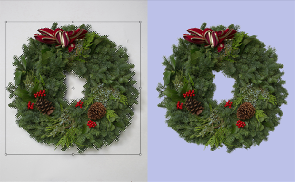 Perfect and Expert Clipping Path